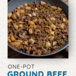 ground beef stroganoff pinterest pin